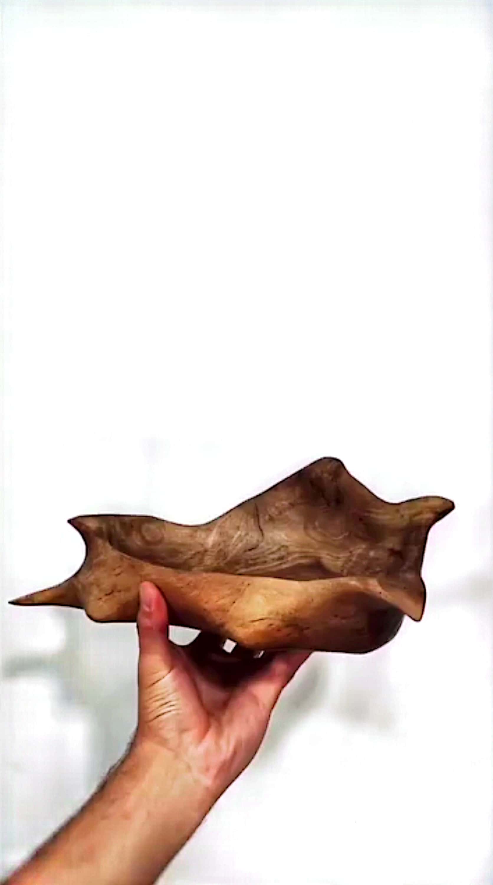 سینی چوب گردو